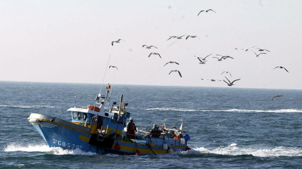 Barco pesquero de color azul y amarillo navegando por el mar, rodeado de un grupo de gaviotas que vuelan sobre la embarcación bajo un cielo despejado.